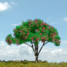 model trees